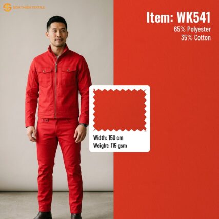 WK541-01.jpg